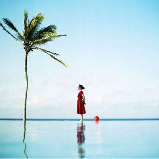 ¿Quién es... CIG HARVEY?