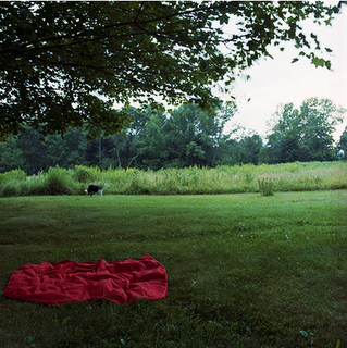 ¿Quién es... CIG HARVEY?