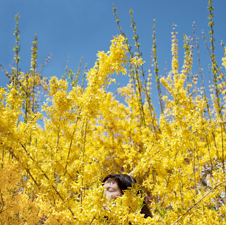 ¿Quién es... CIG HARVEY?