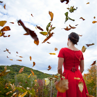 ¿Quién es... CIG HARVEY?