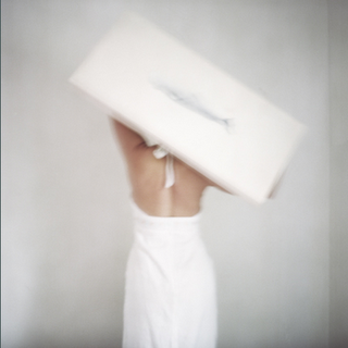 ¿Quién es... CIG HARVEY?