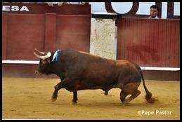 DSC_0071_filtered DSC_0071_filtered