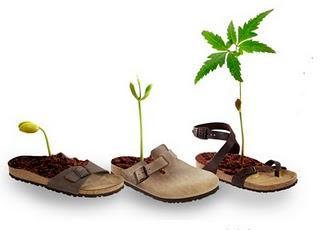 Birkenstock muestra su lado verde al iniciar la campaña Reforesta Birkenstock en el Cerro del Cubilete