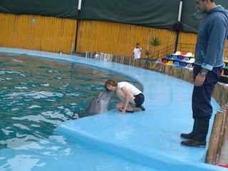 Un sueño cumplido...de regreso