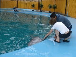 Un sueño cumplido...de regreso