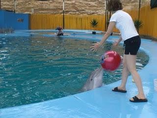 Un sueño cumplido...de regreso