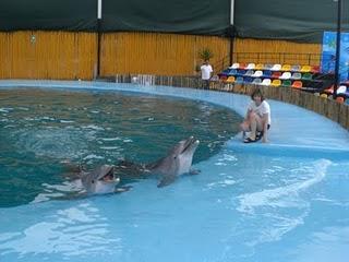 Un sueño cumplido...de regreso