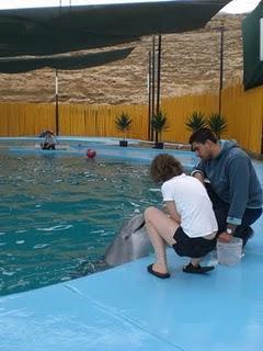 Un sueño cumplido...de regreso