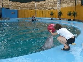 Un sueño cumplido...de regreso