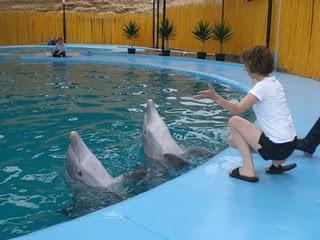 Un sueño cumplido...de regreso