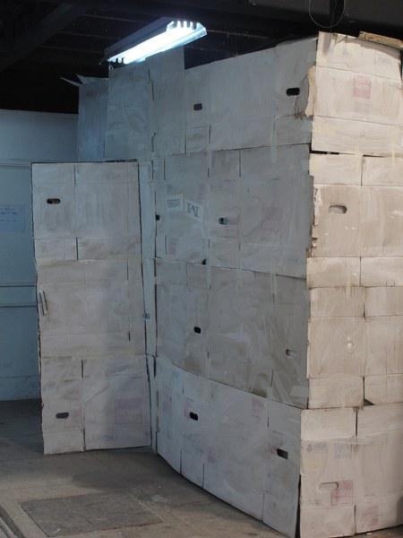 Curiosa casa de cartón