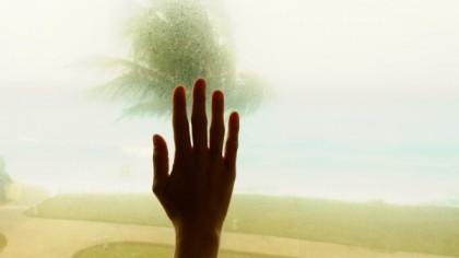 Hidras, musas y Olimpos pasajeros