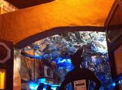 Festes Majors Gràcia 2011