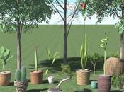 Plantas pequeñas