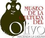 Vacaciones temáticas: Jaén ofrece sus propuestas