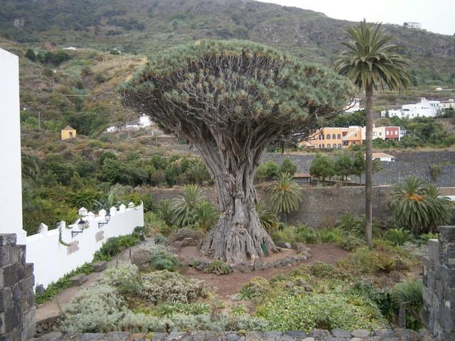 De nuevo con vosotros