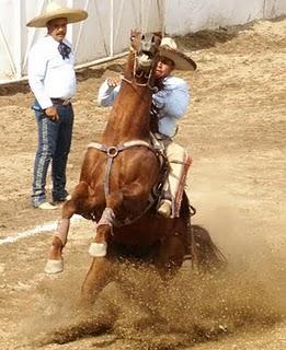 Este Jueves Inicia el XIV Campeonato Millonario de Charrería “Tequila Hacienda Vieja”