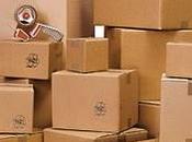 basico para iniciar negocio Dropshipping