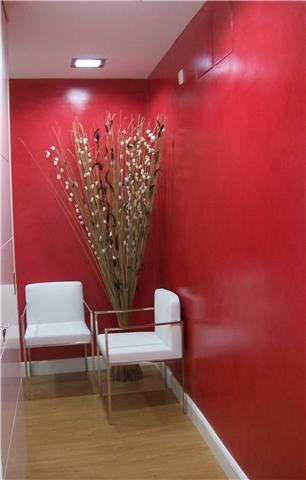 ALTDECOR - Alta decoración en Muros