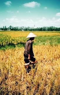 Tradiciones de Viet Nam: ¿Qué evitar en un viaje?