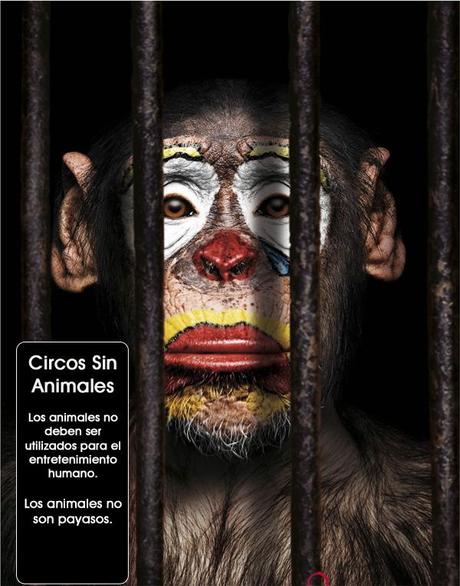 Circos Sin Animales