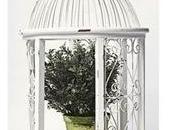 Jaulas para flores plantas