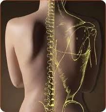 ¿Qué es Quiropraxia?