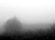 veces...hay días...hay momentos...