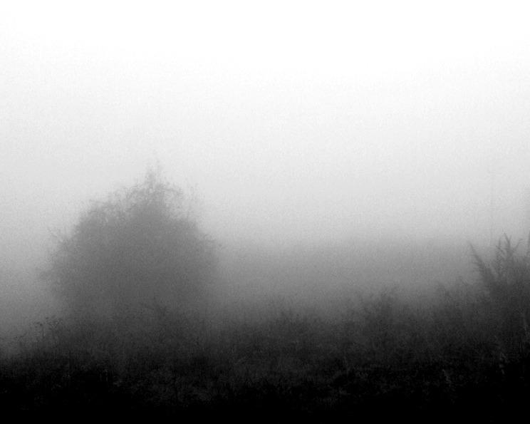 HAY VECES...HAY DÍAS...HAY MOMENTOS...