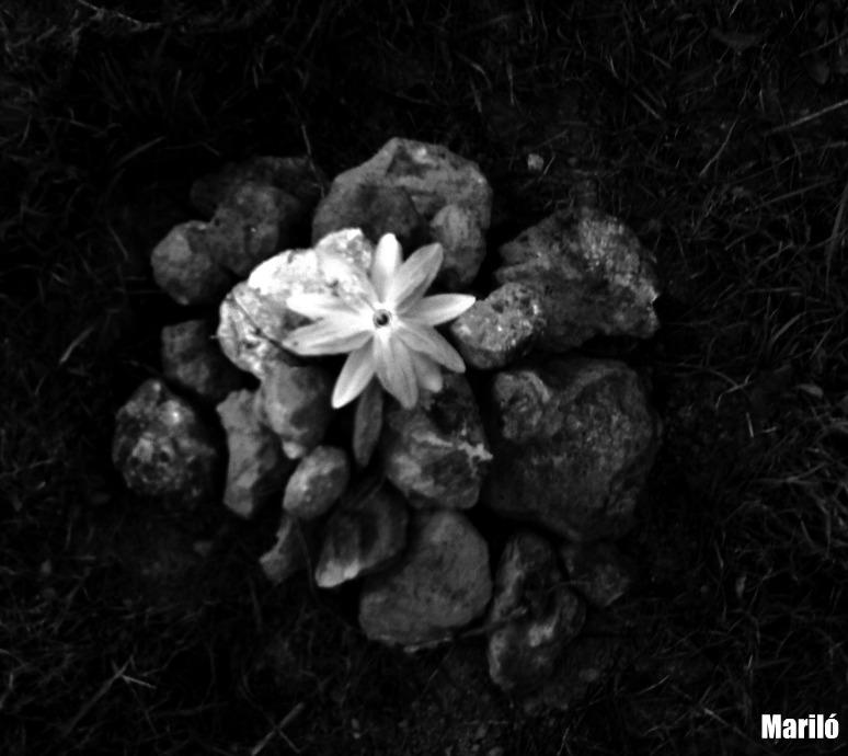 HAY VECES...HAY DÍAS...HAY MOMENTOS...