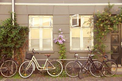 Sofia Haltrup - Our norther Light