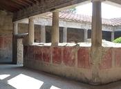 Pompeya David Tremlett