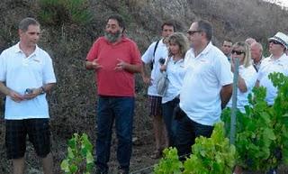 4ª NIT DE VINS DE TORROJA DEL PRIORAT