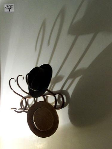 ¿En dónde estás ahora?