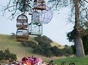 Inspirador: decorar jaulas