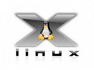 Linux cumple hoy 20 años de existencia