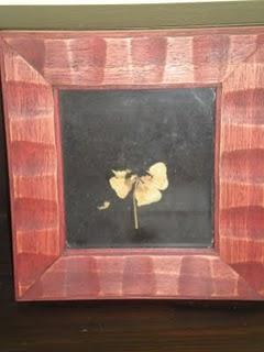 La magia del shamrock