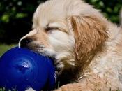 fuerza voluntad existe