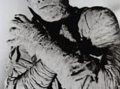 Tóxicos: ¡Vaya tela (s)!