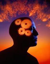 3 tipos de inteligencia, ¿conoce cual predomina en usted? 3 tipos de inteligencia, ¿conoce cual predomina en usted?