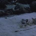 Kill Bill a 66 imágenes por post KillBill-61.jpg