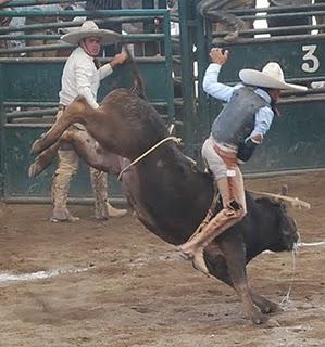 Finales de la Copa Natura en el X Circuito Excelencia Charra “Ford”