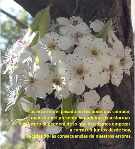 Perdonando y Pidiendo Perdón