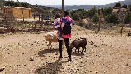 Guía completa de Albarracín en familia: visitas y excursiones en Albarracín con niños Guía completa de Albarracín en familia: visitas y excursiones en Albarracín con niños