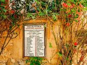 Viajes N.S. Jesucristo