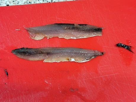 Anchoas en salazón, cómo hacerlas caseras