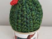 Cactus thrity-three