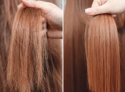 Tips para cabello dañado.