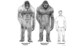 DESTRIPANDO A BIGFOOT, AL YETI, SASQUATCH….