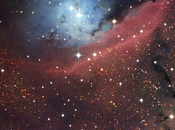 preciosa región formación estrellas: 6559